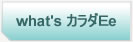 What's カラダEe